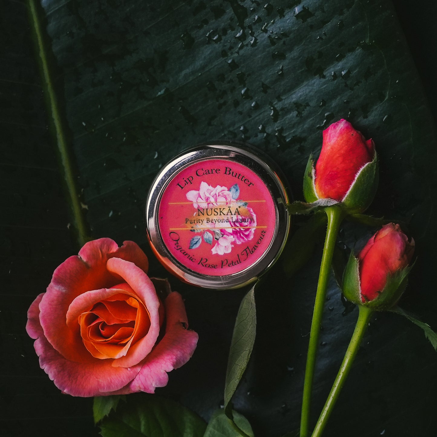 Nuskaa 100% Pure Rose Petal Lip Balm